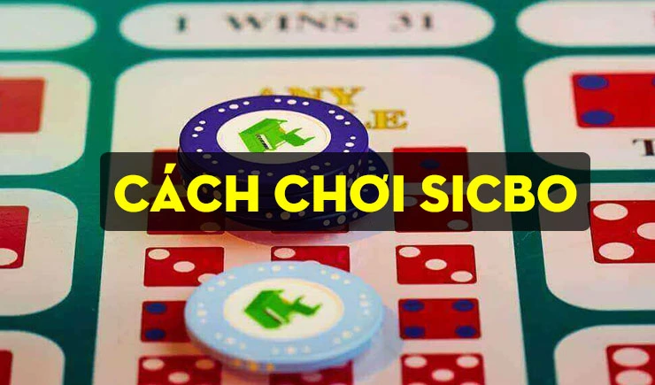 Các quy định về luật trong cách chơi Sicbo